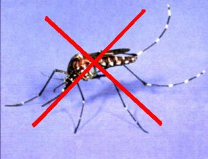 Bí quyết chống muỗi hiệu quả bỏ túi cho các mẹ