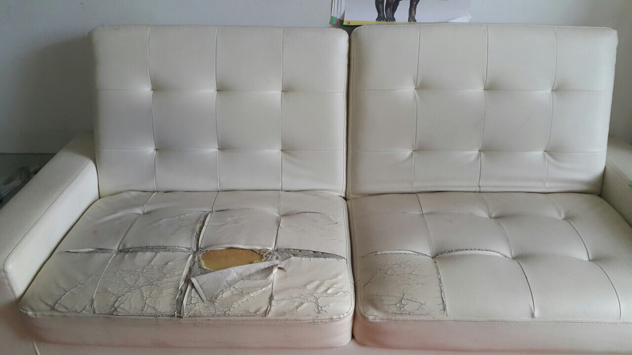 Dịch vụ bọc ghế sofa chuyên nghiệp của BearSofa tại TP. Hồ Chí Minh 