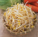 Cách làm giá đỗ sạch từ đậu xanh tại nhà không bị rễ dài