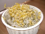Cách làm giá đỗ xanh tại nhà vừa ngon vừa mập như thế nào?