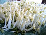 Cách làm giá đỗ ngon và an toàn tại nhà