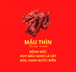 Màu sắc hợp với tuổi thìn 1988, kỷ tỵ 1989
