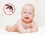 Cách Phòng Tránh Muỗi Đốt Hiệu Quả Nhất 