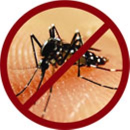 Xóa tan nỗi ám ảnh trong mùa “muỗi sinh sản”