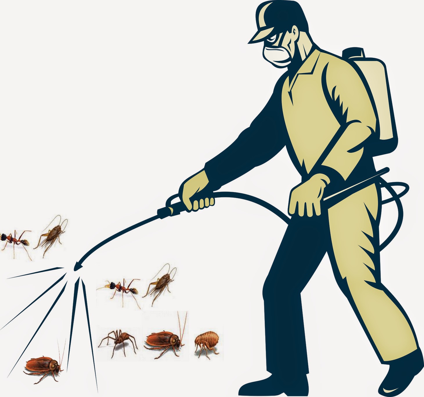 Đuổi sạch đám côn trùng nguy hại mà không dùng hóa chất.