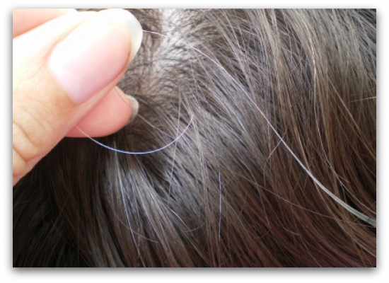mái tóc bạc sớm gây nhiều mặc cảm cho con người