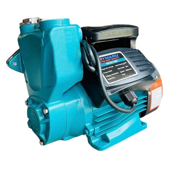 Máy bơm nước chân không RYMARU RY400