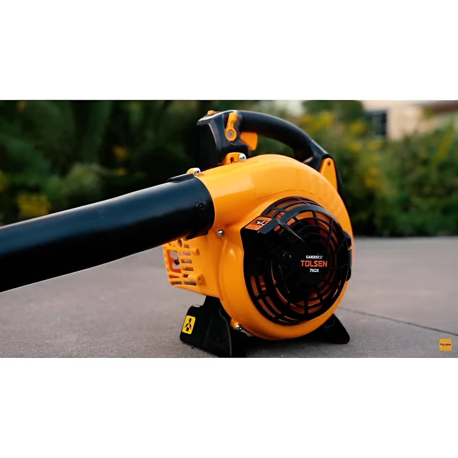 Máy thổi chạy xăng 750W TOLSEN 79628