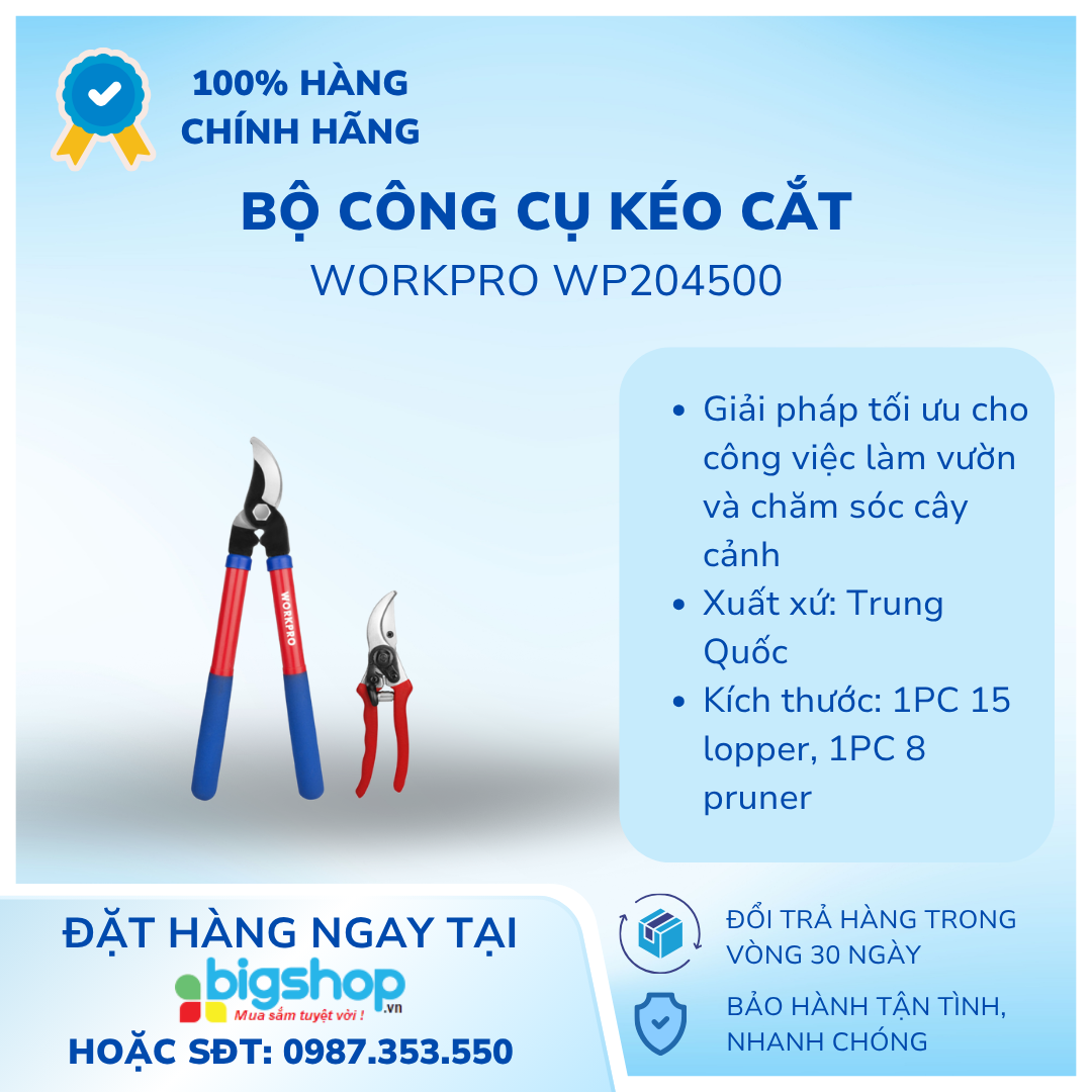 Bộ công cụ kéo cắt 2 món Workpro WP204500