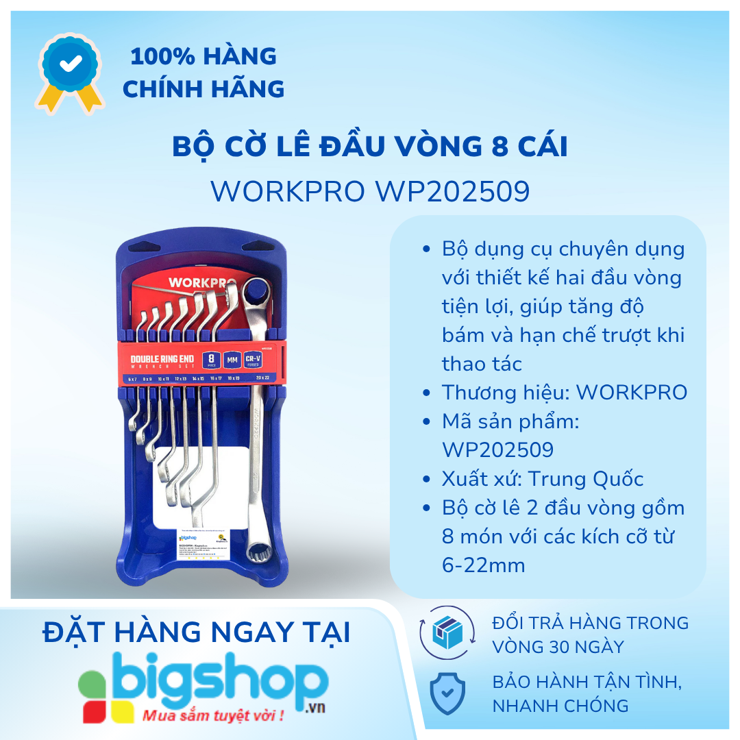 Bộ cờ lê đầu vòng 8 cái Workpro WP202509