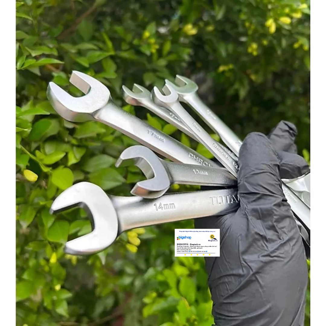 Bộ 6 cờ lê vòng miệng xoay chiều tự động TOTAL THT103RK066 (8-17mm)
