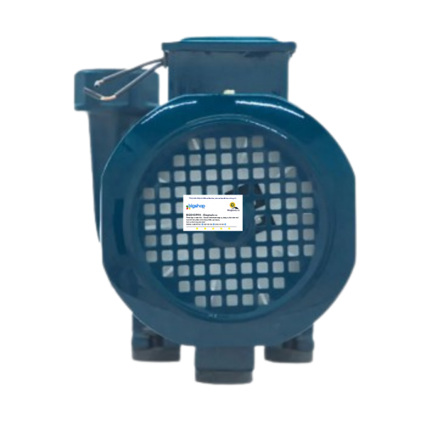 Máy bơm nước cao áp 1.5HP Hồng Ký HKP-D-19-25-1.1