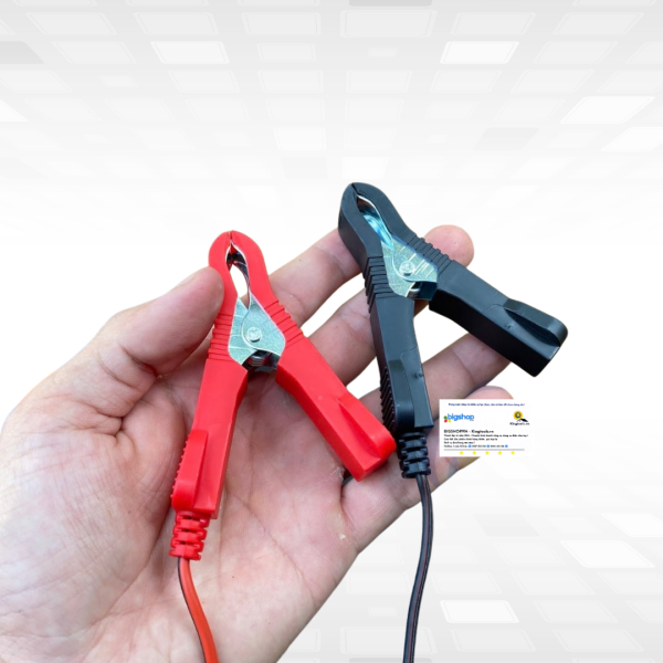 Máy sạc bình 20A/10A WADFOW WBY1A201