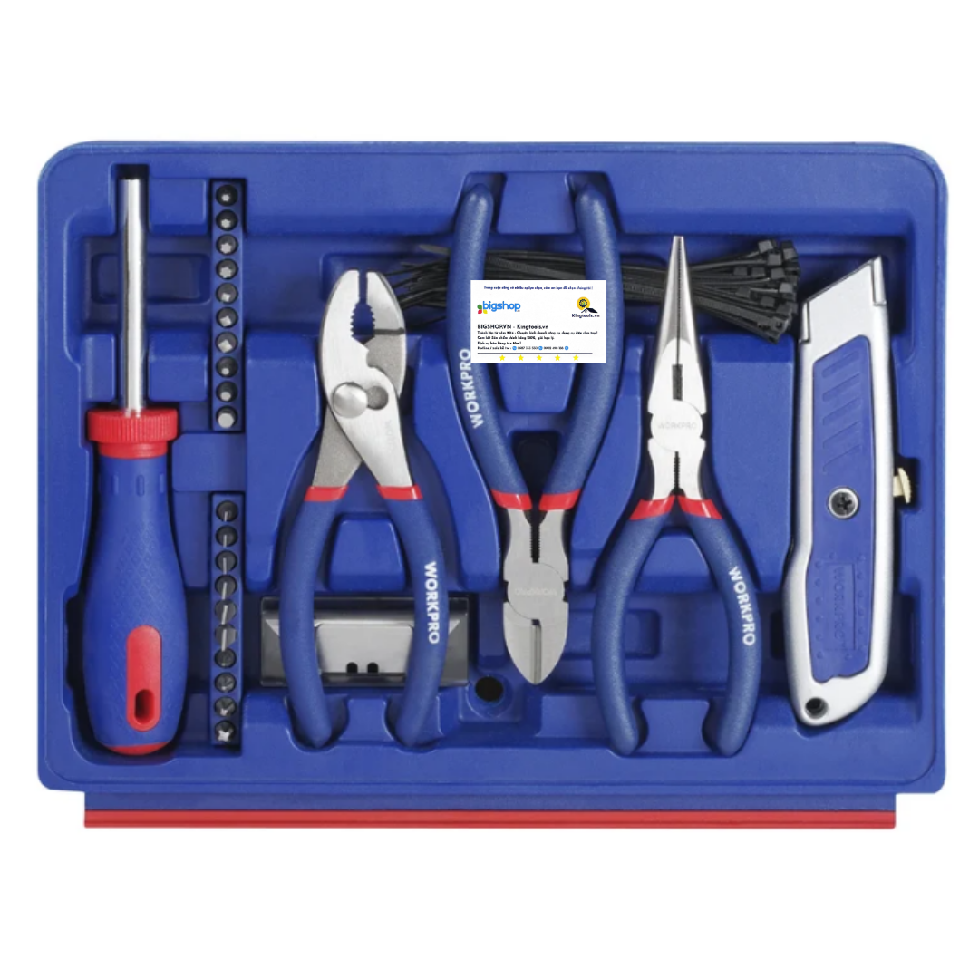 Bộ công cụ dụng cụ các loại 125 món WORKPRO WP209028