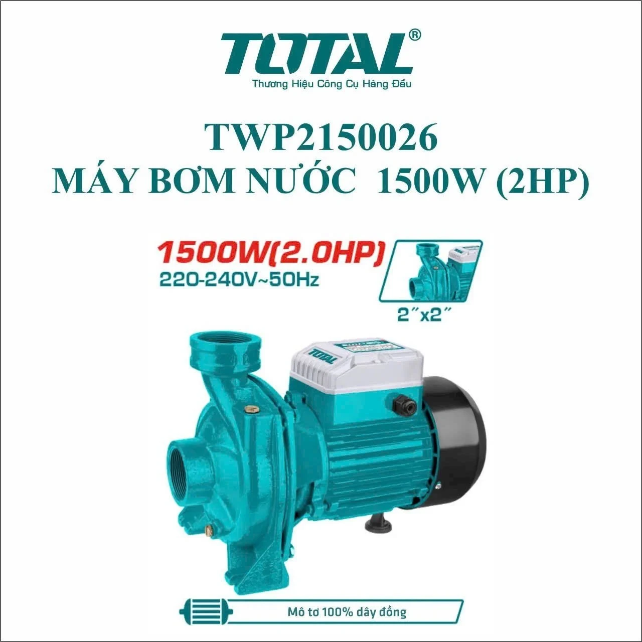 Máy bơm nước 1500W TWP2150026